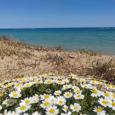 Apartmán Anthemis - Affitti Brevi Italia *